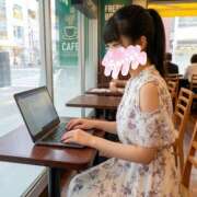 ヒメ日記 2026/06/11 15:30 投稿 白勢（しろせ） あさがお
