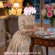 ヒメ日記 2026/06/28 02:08 投稿 白勢（しろせ） あさがお