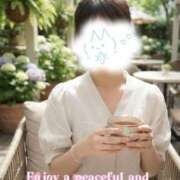 白勢（しろせ） 🍀朝のひとときに、優しくなれる時間を🍀 あさがお