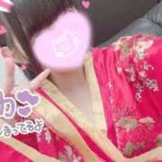 ヒメ日記 2026/08/16 11:02 投稿 のあ いざ候 別館