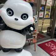 ヒメ日記 2026/09/28 08:15 投稿 のわ 特別授業