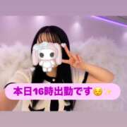 ヒメ日記 2026/08/11 12:23 投稿 ゆず セレブクエスト-koshigaya-