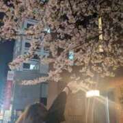 ヒメ日記 2026/06/16 23:20 投稿 (コスパ)瀬戸なみ 風俗イキタイいわき店