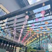 ヒメ日記 2026/08/15 16:49 投稿 える JAPAN CLUB BUNNY LOUNGE