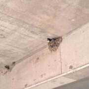 ヒメ日記 2026/08/13 19:02 投稿 なのは 鹿児島ちゃんこ 天文館店