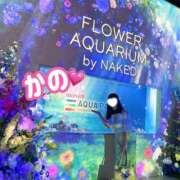 ヒメ日記 2026/06/27 13:17 投稿 かの 優しいM性感 五反田