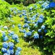 ヒメ日記 2026/06/17 12:55 投稿 やえ 横浜おかあさん