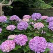 ヒメ日記 2026/06/17 22:15 投稿 やえ 横浜おかあさん