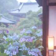 ヒメ日記 2026/06/23 09:35 投稿 やえ 横浜おかあさん