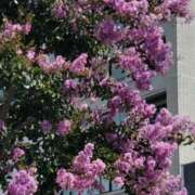 ヒメ日記 2026/08/03 20:35 投稿 やえ 横浜おかあさん