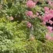 ヒメ日記 2026/09/12 10:05 投稿 やえ 横浜おかあさん