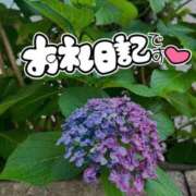 ヒメ日記 2026/06/19 23:56 投稿 らら 奴隷コレクション