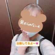 ヒメ日記 2026/09/12 19:21 投稿 栗山　かな NADIA神戸店