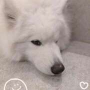 ヒメ日記 2026/07/04 21:05 投稿 みずき 熟女の風俗最終章 新宿店