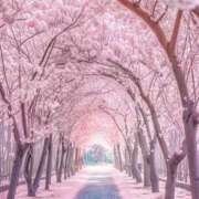 ヒメ日記 2026/07/12 17:10 投稿 ほくあ Eternal Beauty