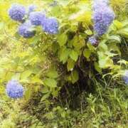 ヒメ日記 2026/06/17 11:01 投稿 みさ 奥様はエンジェル　町田店