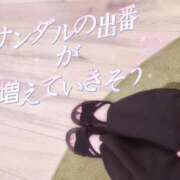 ヒメ日記 2026/07/05 07:30 投稿 みさ 奥様はエンジェル　町田店