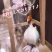 ヒメ日記 2026/07/18 07:01 投稿 みさ 奥様はエンジェル　町田店