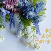 ヒメ日記 2026/07/21 23:01 投稿 みさ 奥様はエンジェル　町田店
