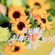 ヒメ日記 2026/08/15 12:02 投稿 みさ 奥様はエンジェル　町田店
