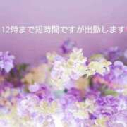 ヒメ日記 2026/09/12 08:11 投稿 藤原　静香 五十路セレブ