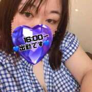 ヒメ日記 2026/06/19 15:49 投稿 こよい 白いぽっちゃりさん五反田店