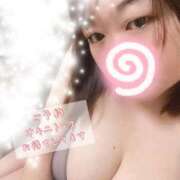 ヒメ日記 2026/06/21 19:59 投稿 こよい 白いぽっちゃりさん五反田店