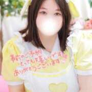 ヒメ日記 2026/07/03 01:29 投稿 こよい 白いぽっちゃりさん五反田店