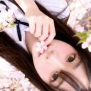 ヒメ日記 2026/08/19 11:16 投稿 新山もえ 水戸ソープ アイドル彼女