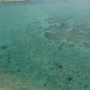 ヒメ日記 2026/06/13 21:30 投稿 朝比奈くるみ ミセスの癒しエステ