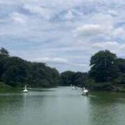 ヒメ日記 2026/06/11 18:02 投稿 沙和幸佳 白夜