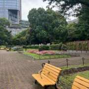ヒメ日記 2026/07/06 12:01 投稿 沙和幸佳 白夜