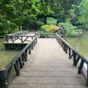 ヒメ日記 2026/07/14 12:00 投稿 沙和幸佳 白夜