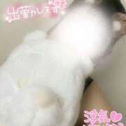 ヒメ日記 2026/09/08 14:50 投稿 たお PLATINUM PHIL