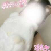 ヒメ日記 2026/09/08 14:58 投稿 たお PLATINUM PHIL