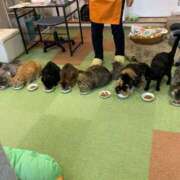 ヒメ日記 2026/08/05 00:24 投稿 らいむ タレント倶楽部アダルト