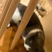 ヒメ日記 2026/08/20 02:42 投稿 らいむ タレント倶楽部アダルト