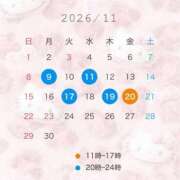 ヒメ日記 2026/10/17 12:03 投稿 アム ドMなバニーちゃん水戸店