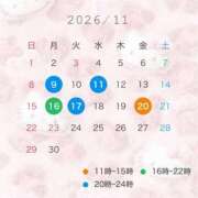 アム 11月出勤予定🗓️‎🤍 ドMなバニーちゃん水戸店