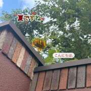 ヒメ日記 2026/07/10 15:05 投稿 ふみか 宮崎ちゃんこ都城店