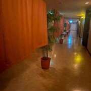 ヒメ日記 2026/07/10 21:25 投稿 ふみか 宮崎ちゃんこ都城店