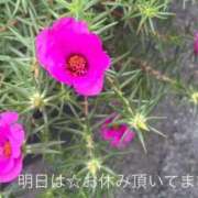 ヒメ日記 2026/07/13 00:35 投稿 ふみか 宮崎ちゃんこ都城店