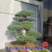 ヒメ日記 2026/07/14 16:15 投稿 ふみか 宮崎ちゃんこ都城店