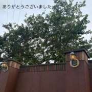 ヒメ日記 2026/07/14 20:01 投稿 ふみか 宮崎ちゃんこ都城店