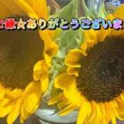 ヒメ日記 2026/07/27 11:20 投稿 ふみか 宮崎ちゃんこ都城店