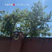 ヒメ日記 2026/07/30 12:15 投稿 ふみか 宮崎ちゃんこ都城店
