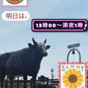 ヒメ日記 2026/08/02 20:25 投稿 ふみか 宮崎ちゃんこ都城店