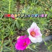 ヒメ日記 2026/08/12 16:25 投稿 ふみか 宮崎ちゃんこ都城店
