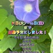 ヒメ日記 2026/08/15 00:15 投稿 ふみか 宮崎ちゃんこ都城店