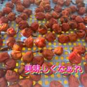 ヒメ日記 2026/08/18 08:35 投稿 ふみか 宮崎ちゃんこ都城店